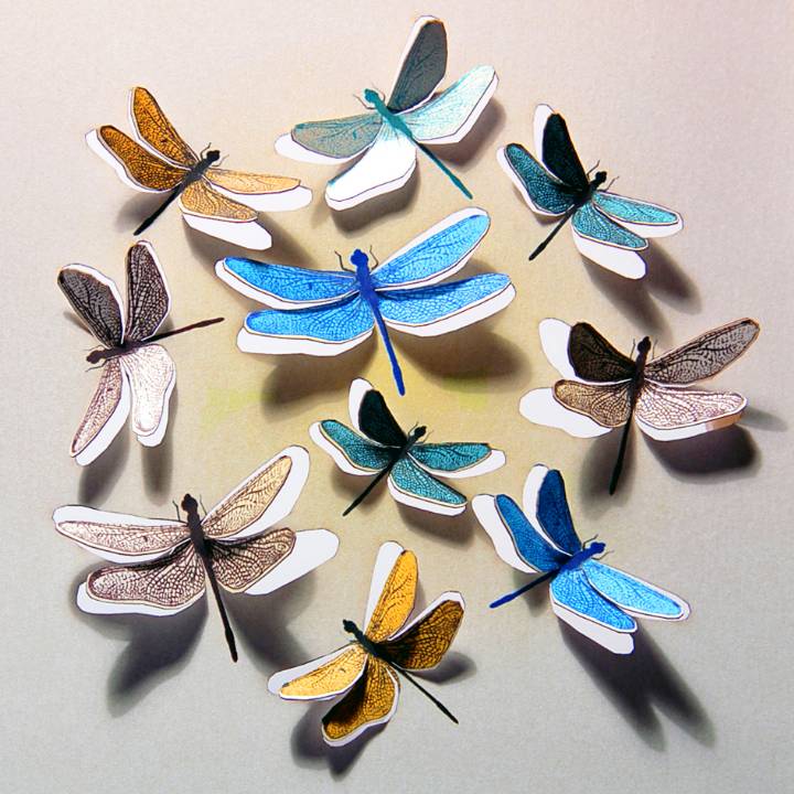 Circle of dragonflies (pack of 6)