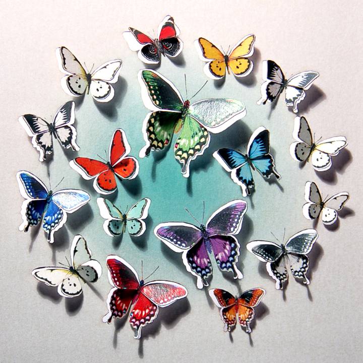 Circle of butterflies (pack of 6)