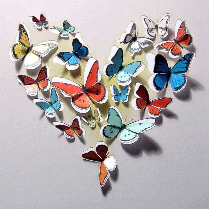 Heart of butterflies (pack of 6)