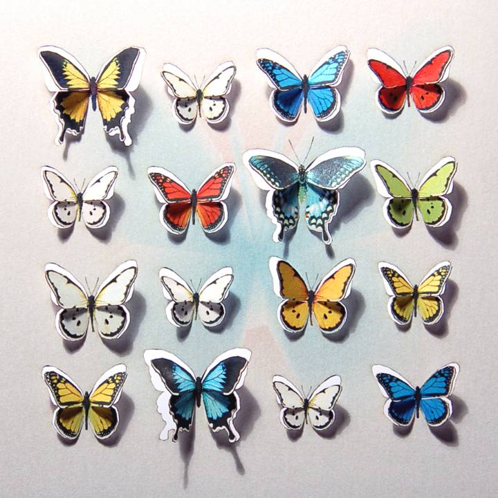 Square of butterflies (pack of 6)