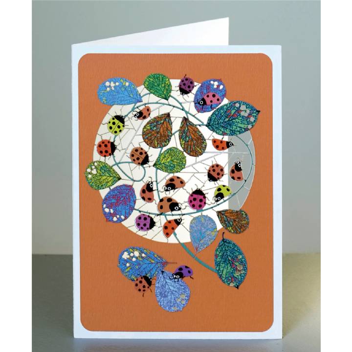 Ladybirds (pack of 6)