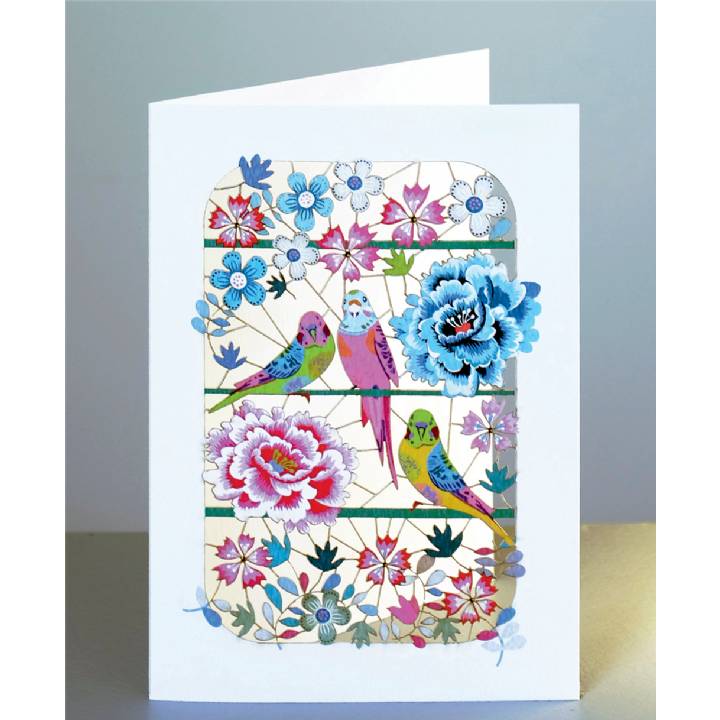 Budgies and peonies (pack of 6)