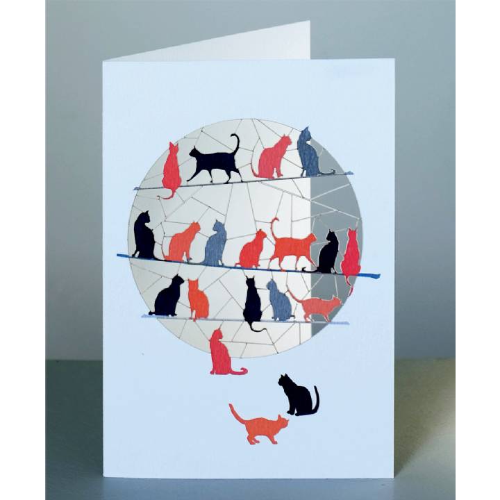 Cats (pack of 6)