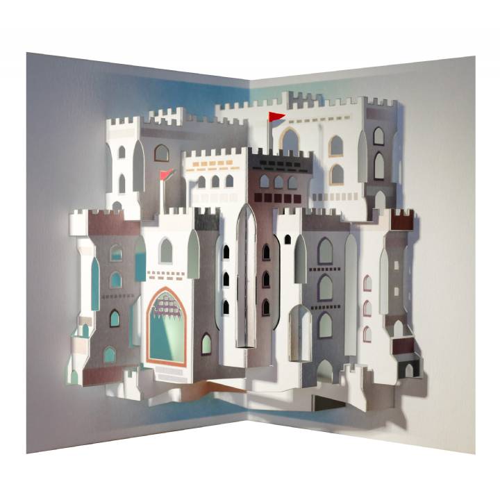Castle (pack of 6)