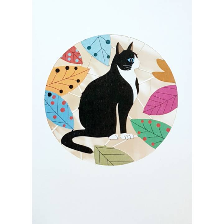 Black and white cat (pack of 6)