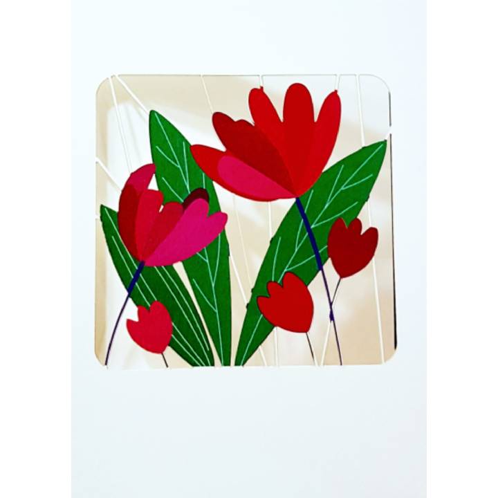 Tulips (pack of 6)