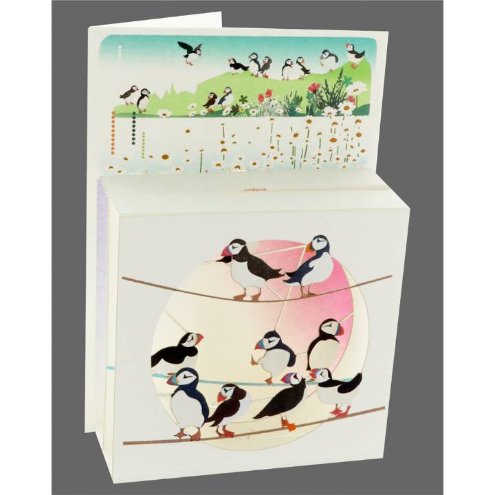 Puffins (pack of 6)