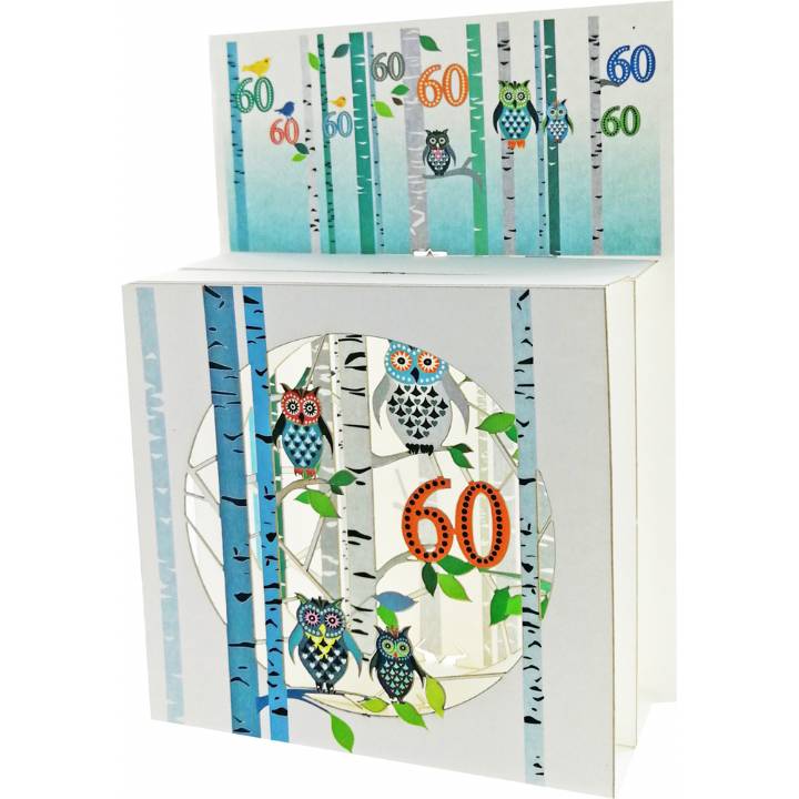 Age 60 Owls (pack of 6)