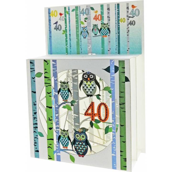 Age 40 Owls (pack of 6)