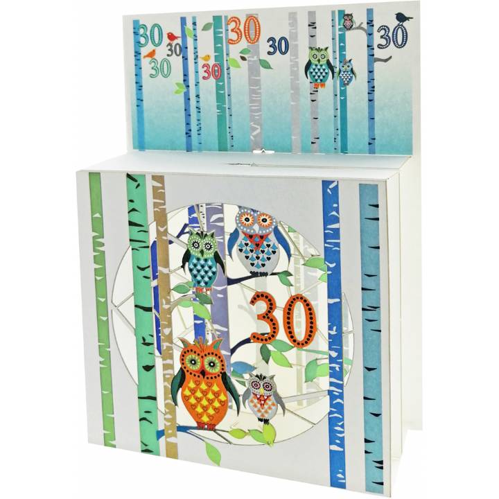 Age 30 Owls (pack of 6)