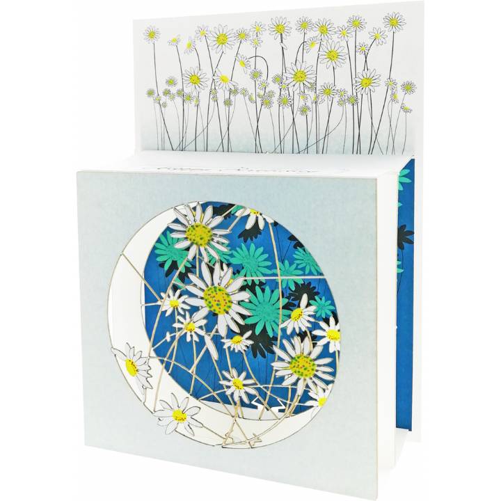 Happy birthday - daisies (pack of 6)