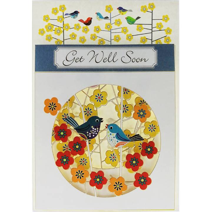 Get Well Soon - birds and flowers (pack of 6)