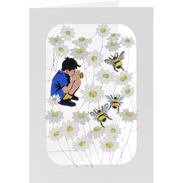Photographer, bees and daisies (pack of 6)