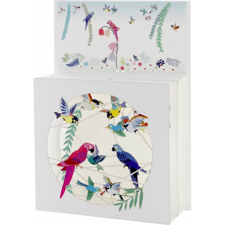 Parrots and songbirds (pack of 6)