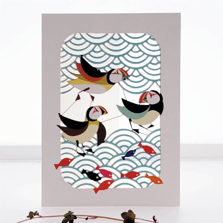 Splashing Puffins (pack of 6)