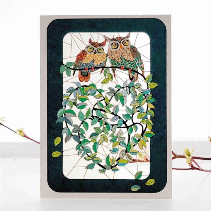 Owls and entwined plants (pack of 6)