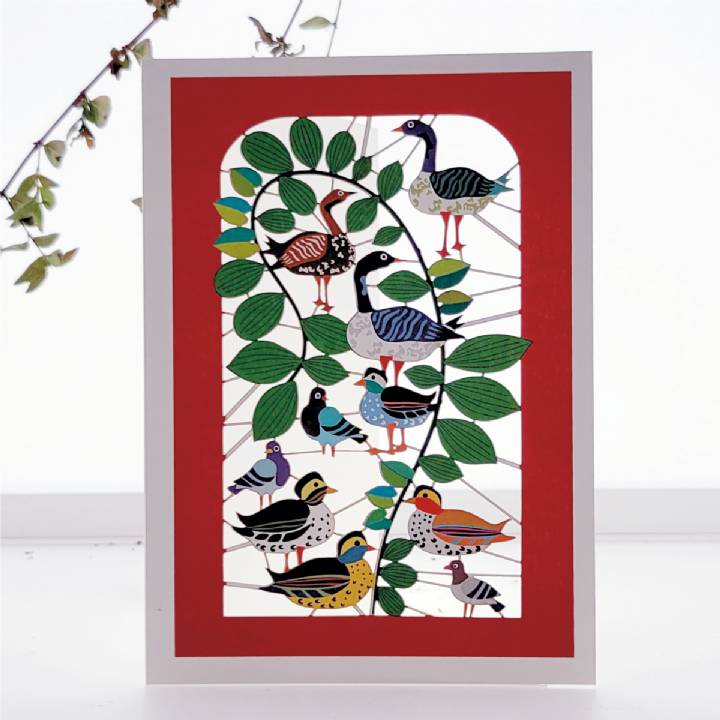 Geese, Ducks and Pigeons (pack of 6)