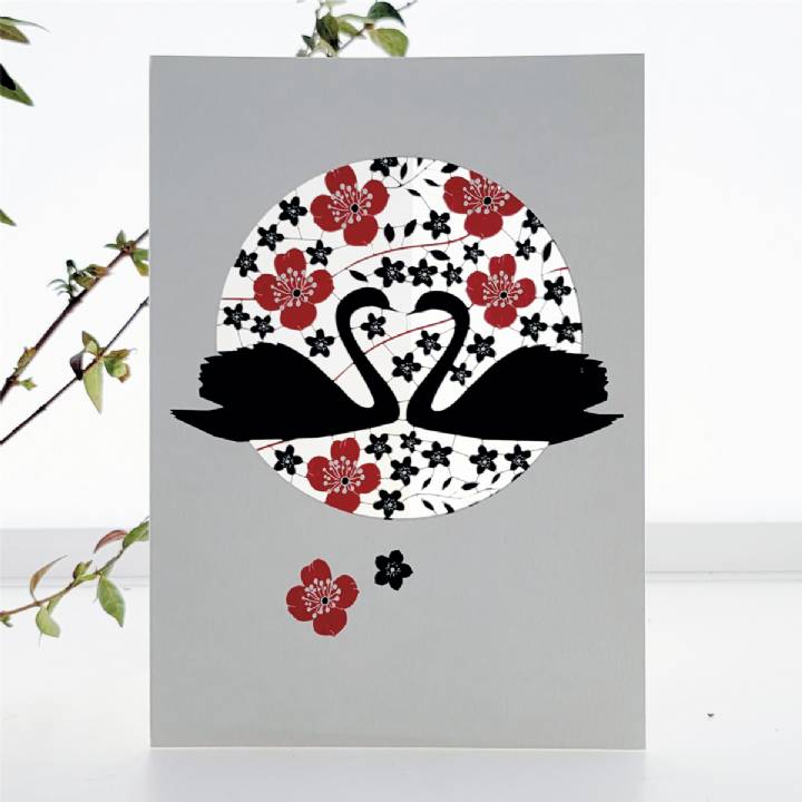 Two Black Swans (pack of 6)