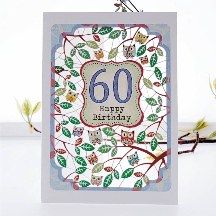 Owls - Age 60 (pack of 6)