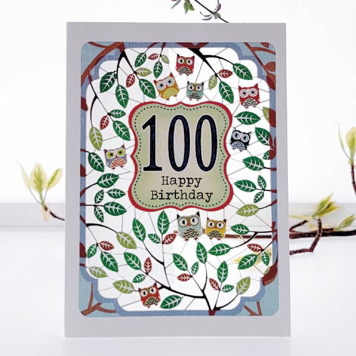 Owls - Age 100 (pack of 6)
