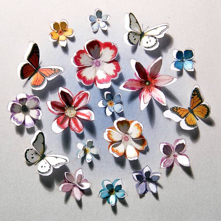 Butterflies and Flowers (pack of 6)