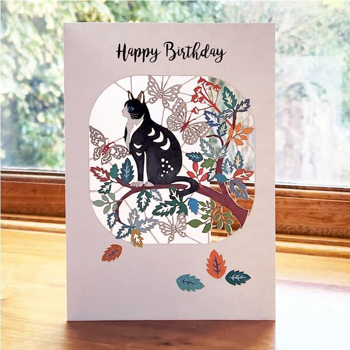 Birthday Card with Cat (pack of 6)