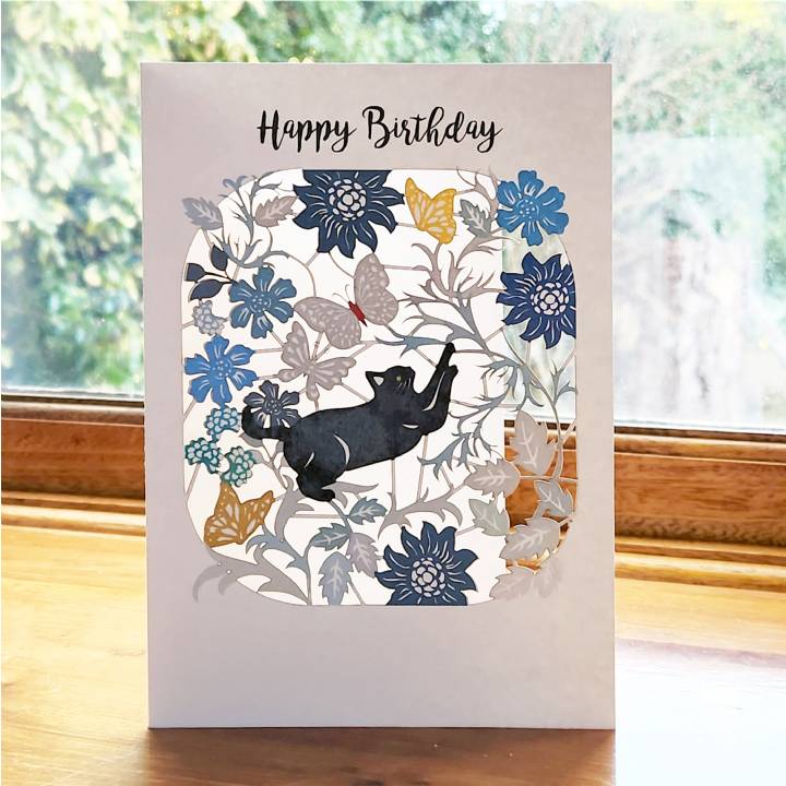 Birthday Card with Reaching Cat (pack of 6)